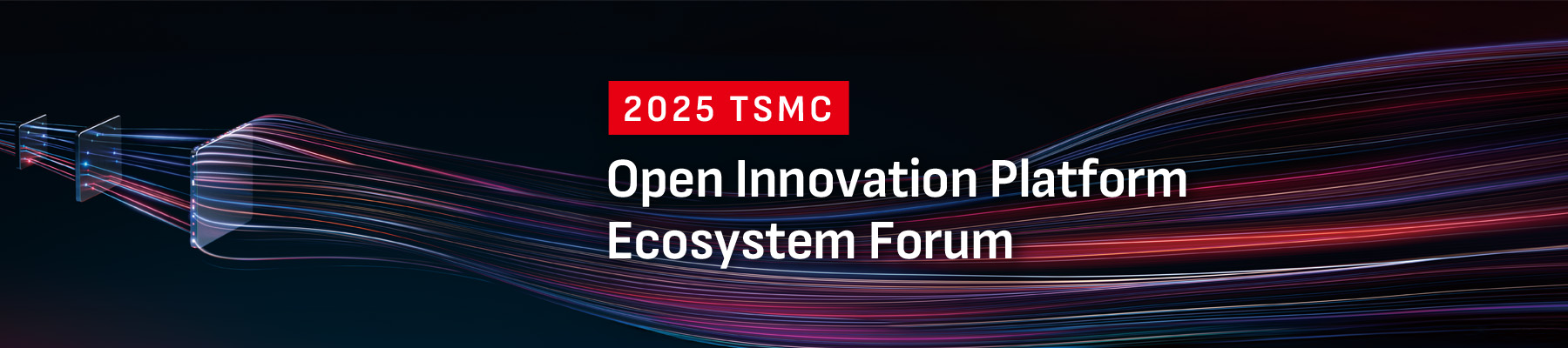 tsmc 2025 
